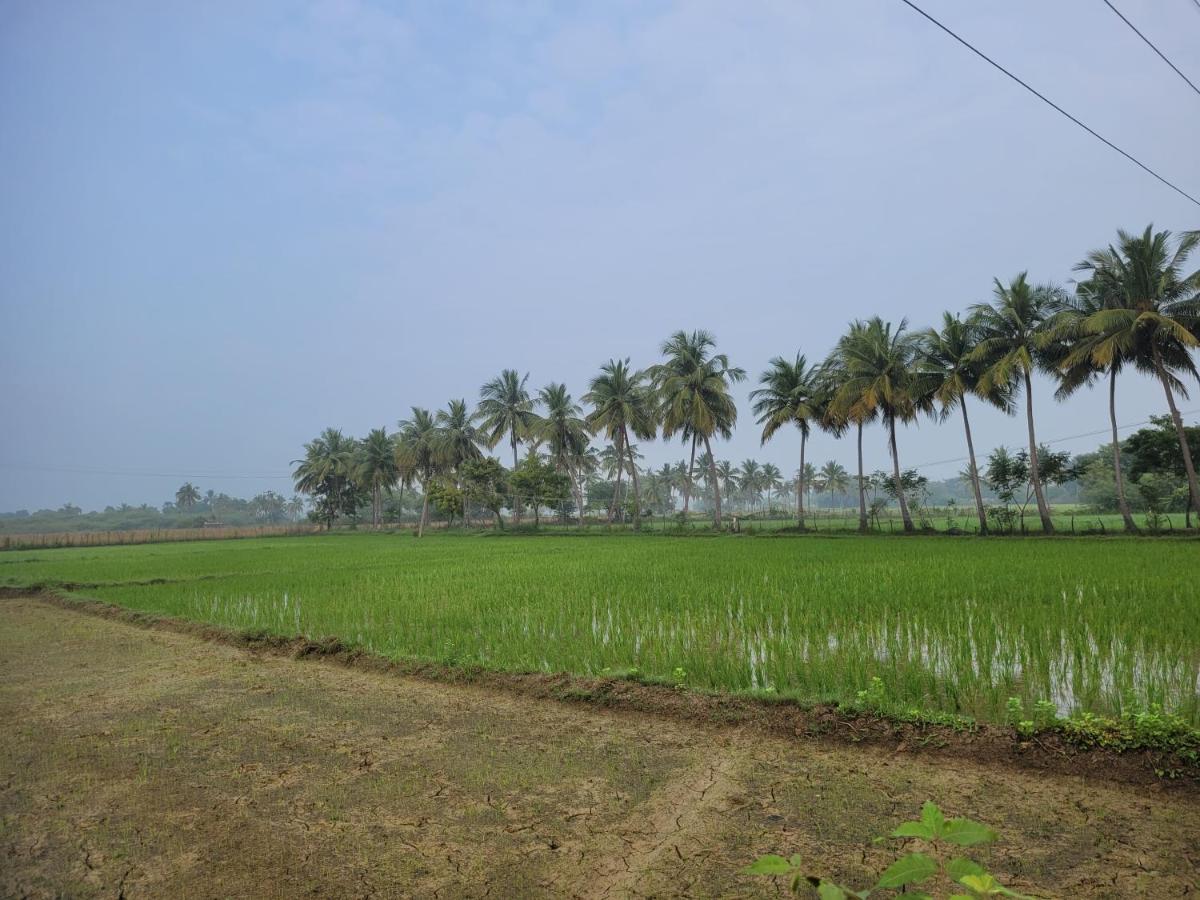 Tanjore Home Stay Thanjavur Esterno foto
