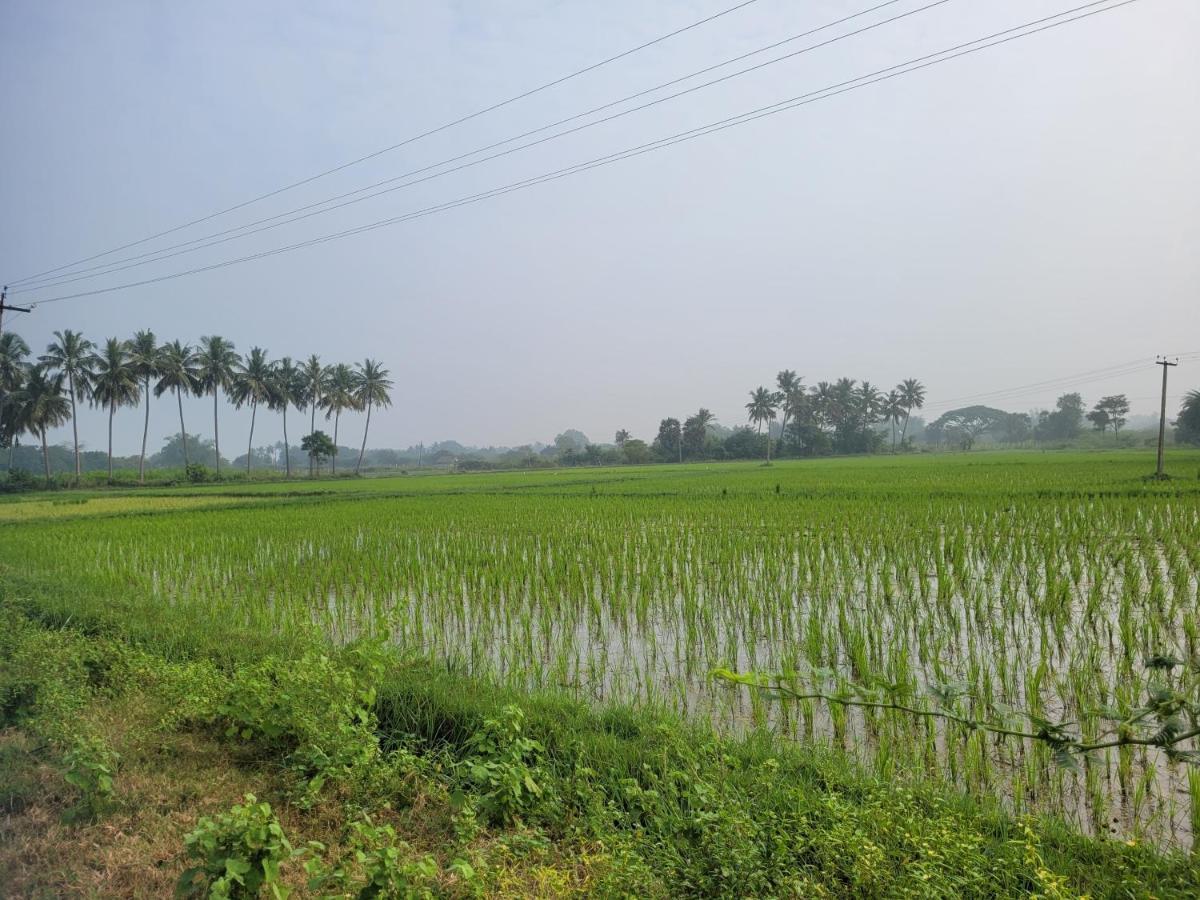 Tanjore Home Stay Thanjavur Esterno foto