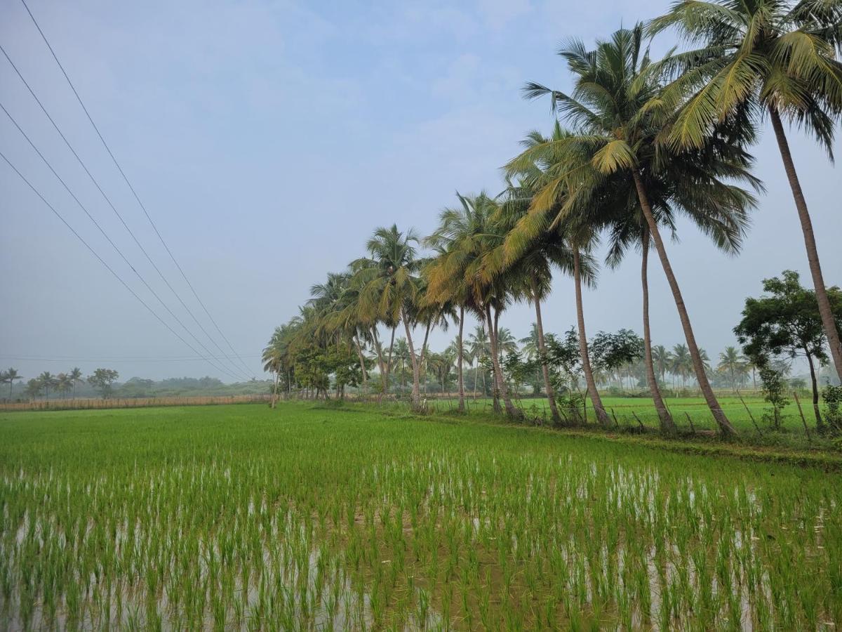 Tanjore Home Stay Thanjavur Esterno foto