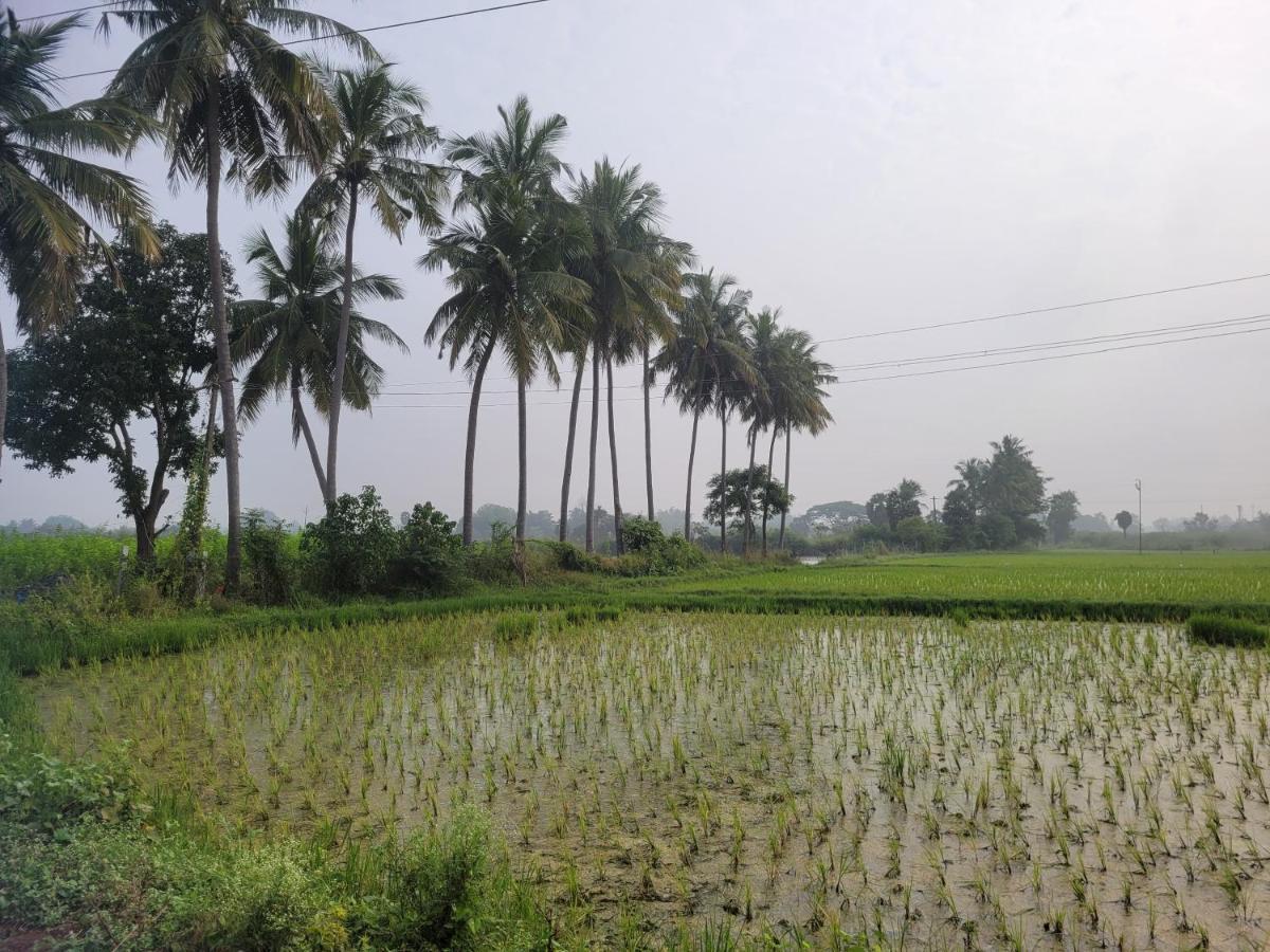 Tanjore Home Stay Thanjavur Esterno foto