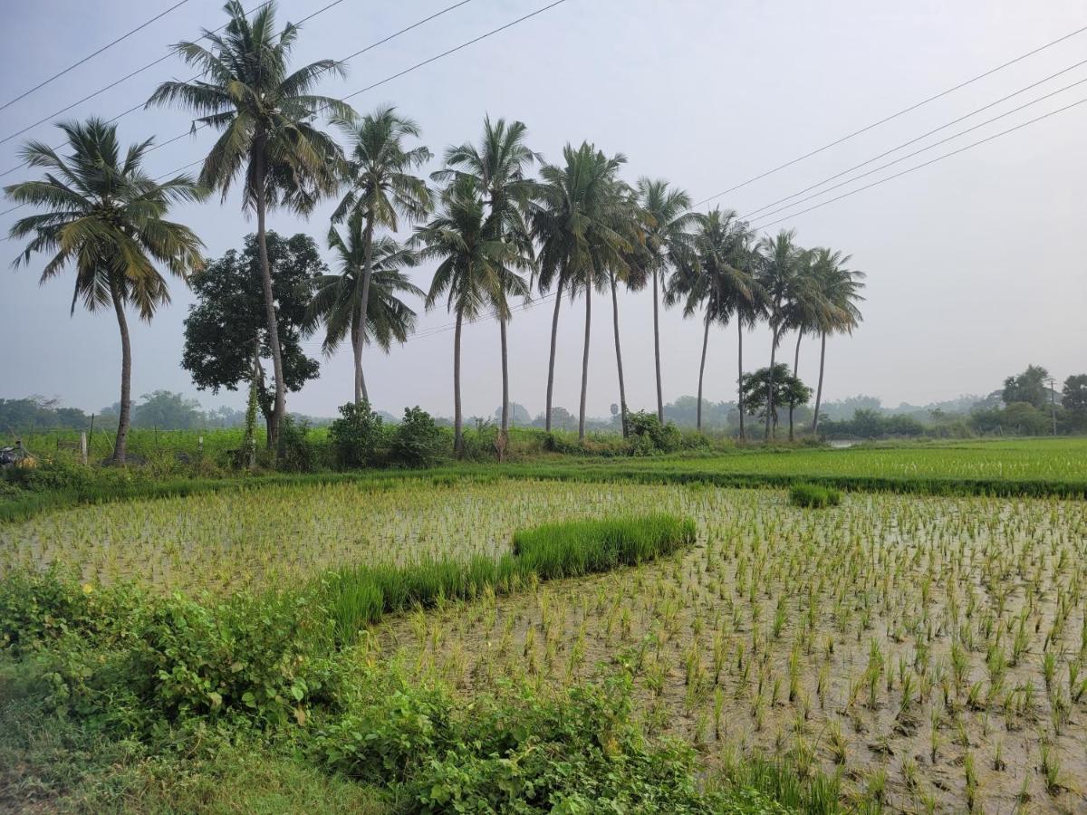 Tanjore Home Stay Thanjavur Esterno foto